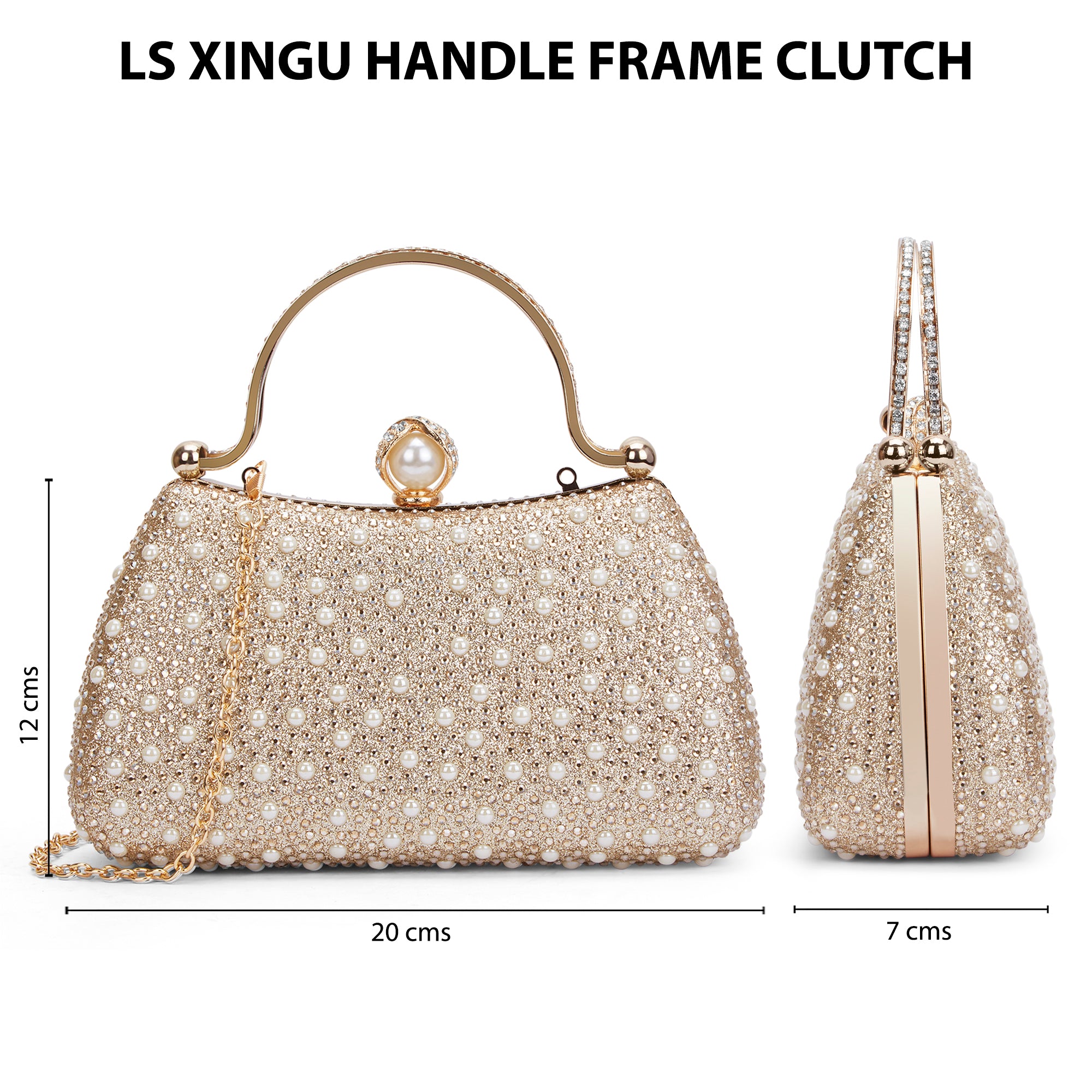 Xingu Handle Frame Clutch Gold