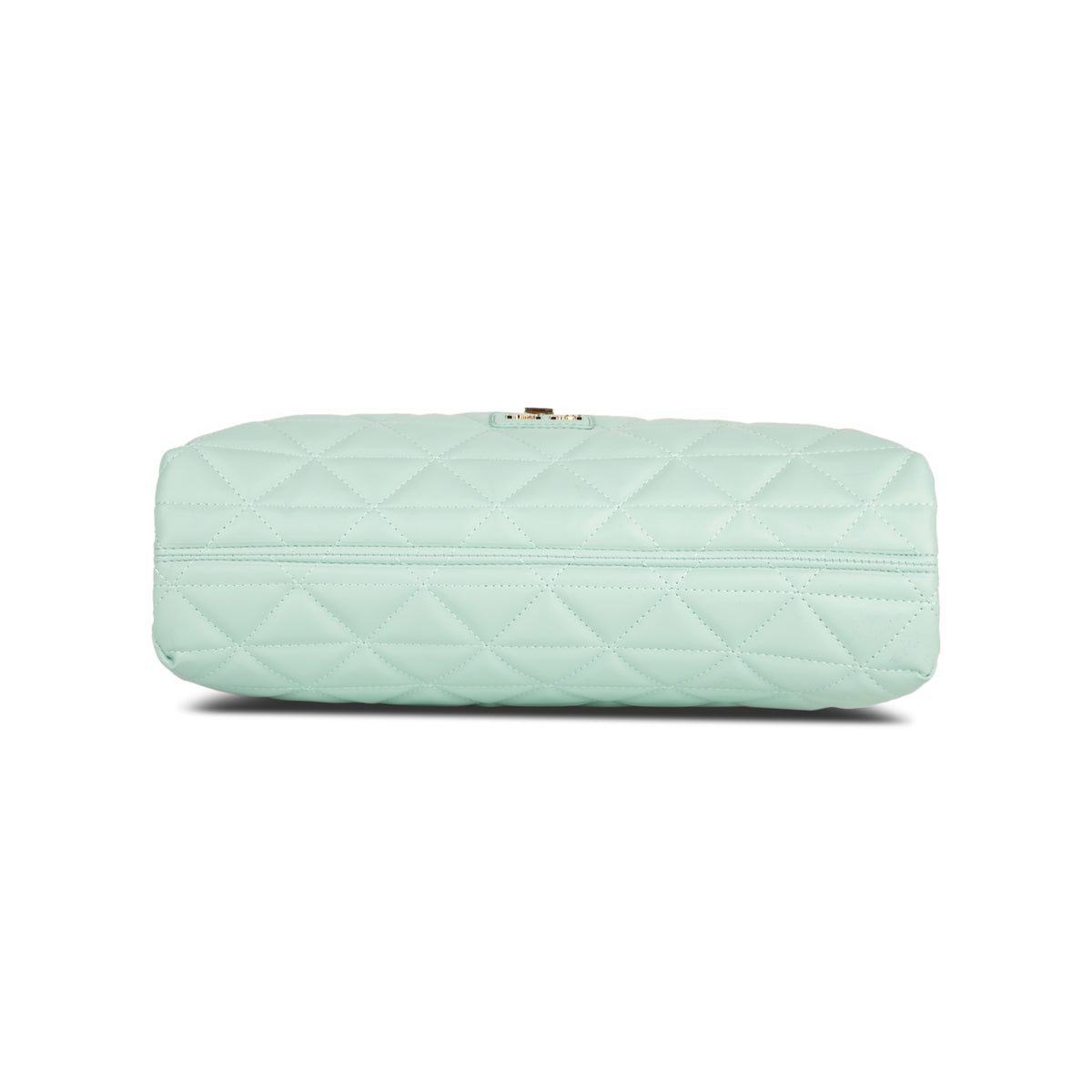 Lavie Luxe Mint Large Women's Eden Flap Satchel Bag