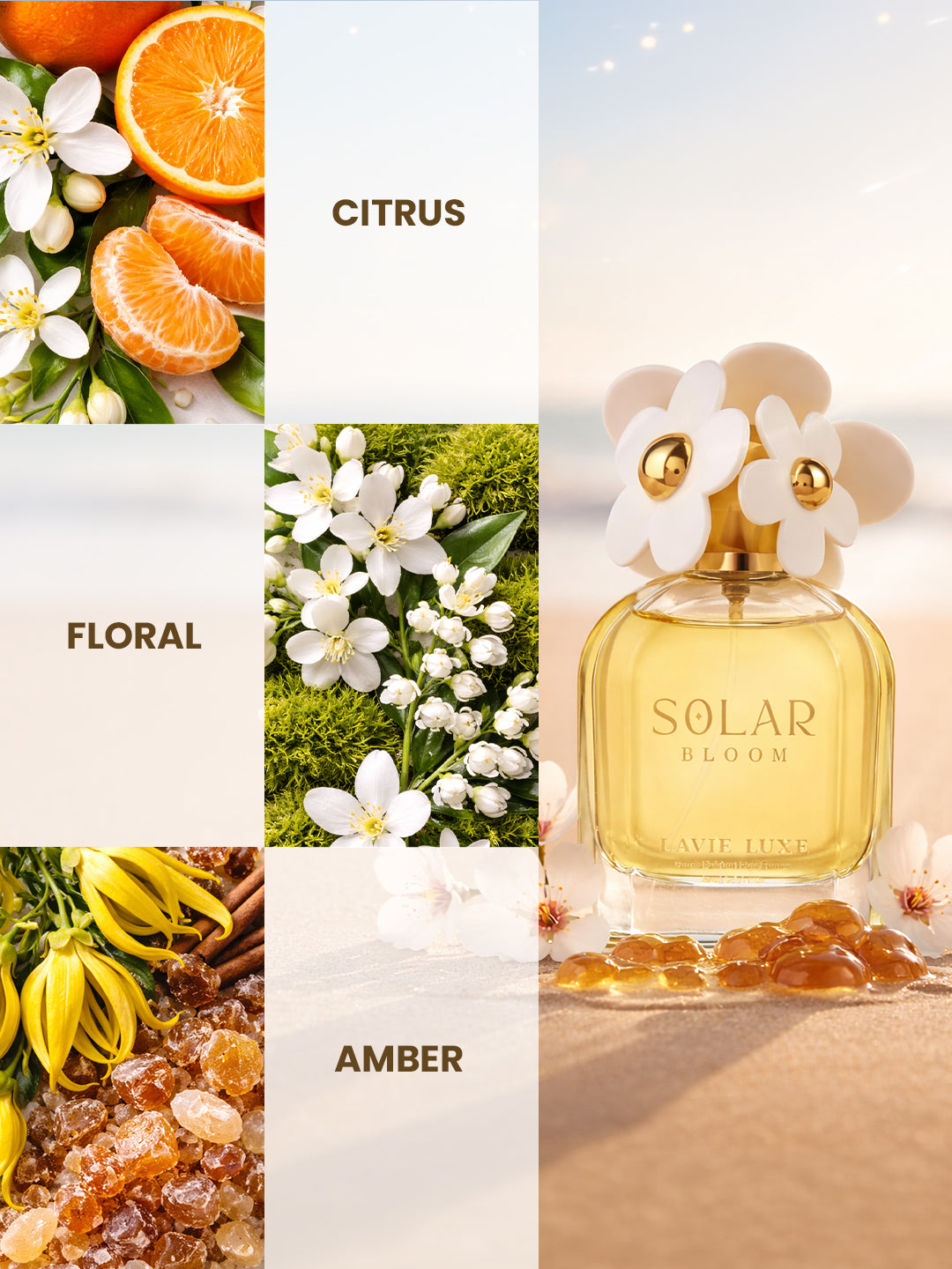 Solar Bloom Perfume
