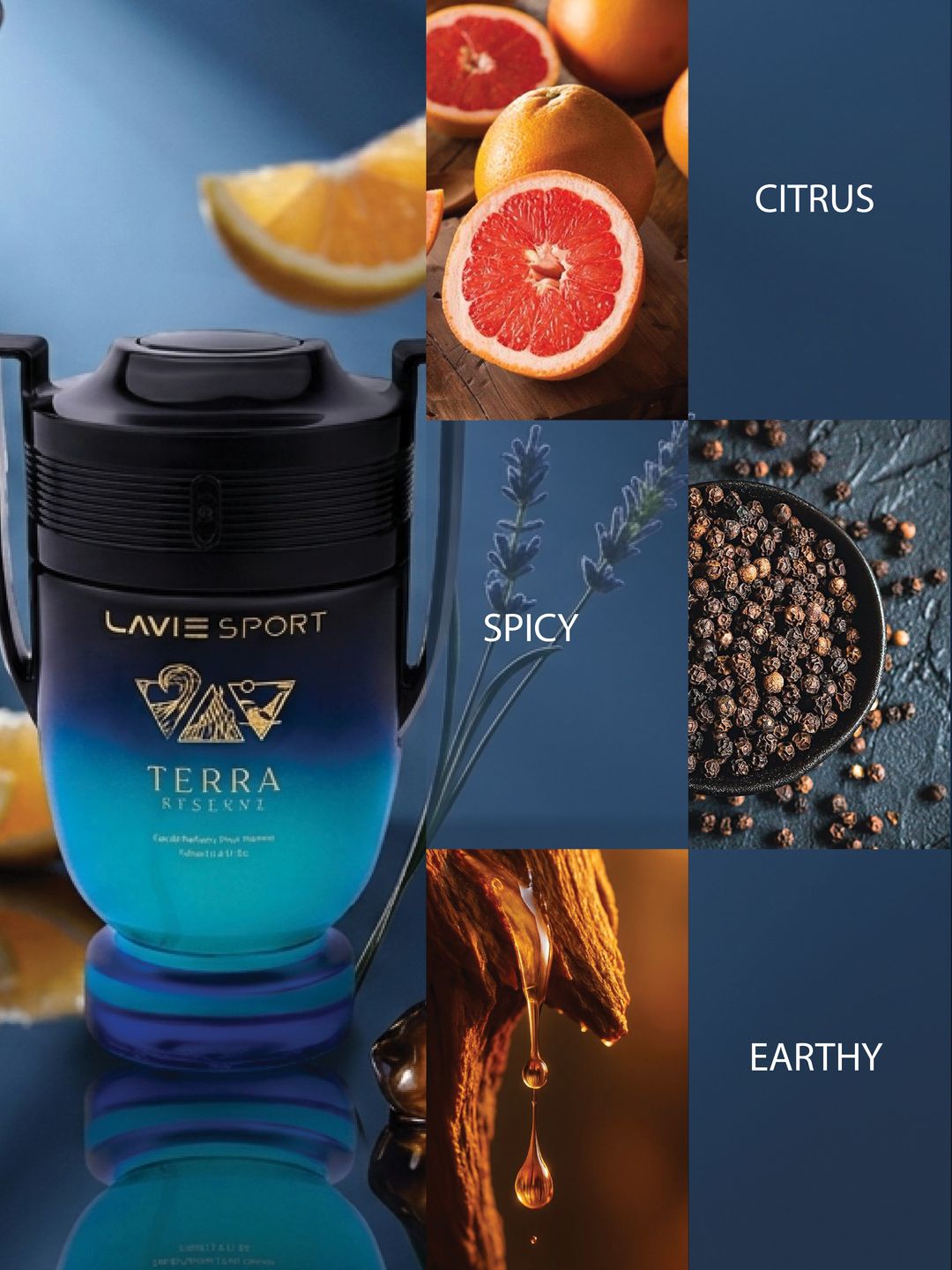 Terra Reserve Eau de Parfum Luxury Collection Perfume