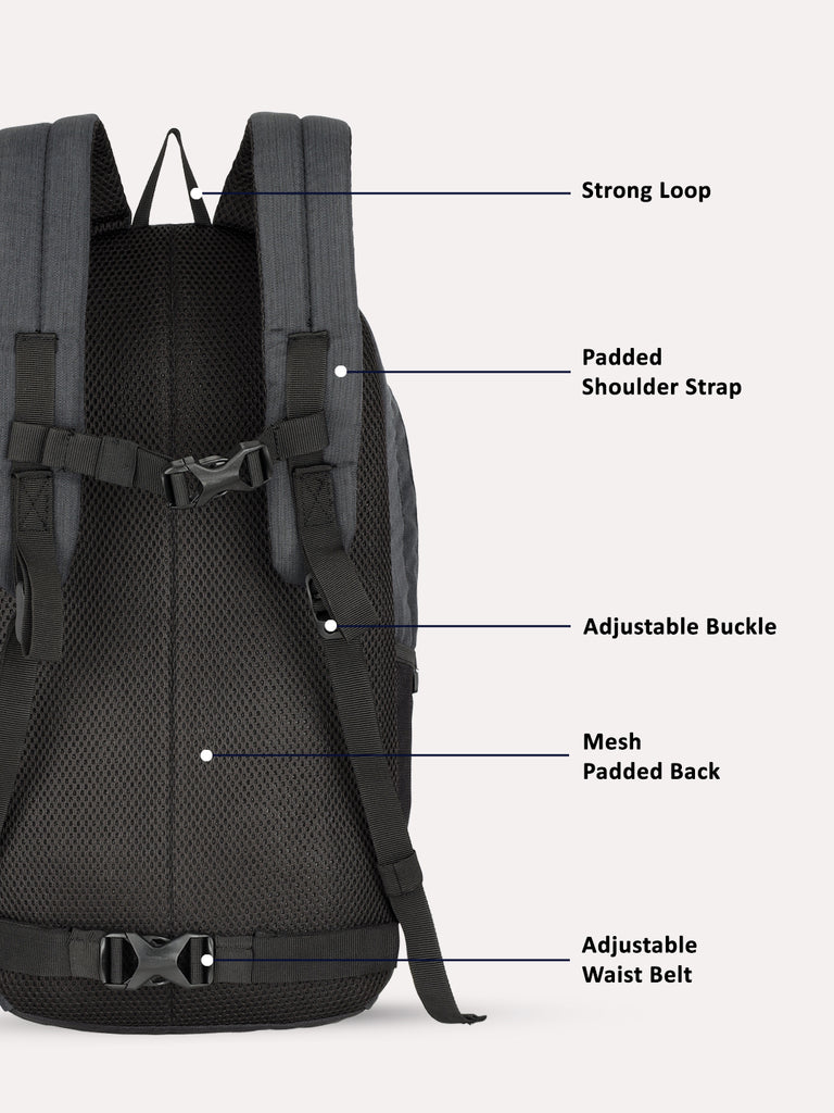 Lavie Sport 22L Ledge Casual Backpack for Girls and Boys|Men & Women Black
