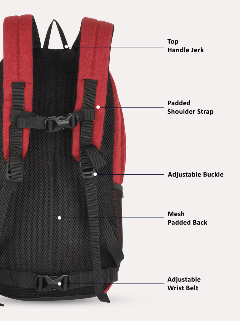 Lavie Sport 22L Ledge Casual Backpack for Girls and Boys|Men & Women Red