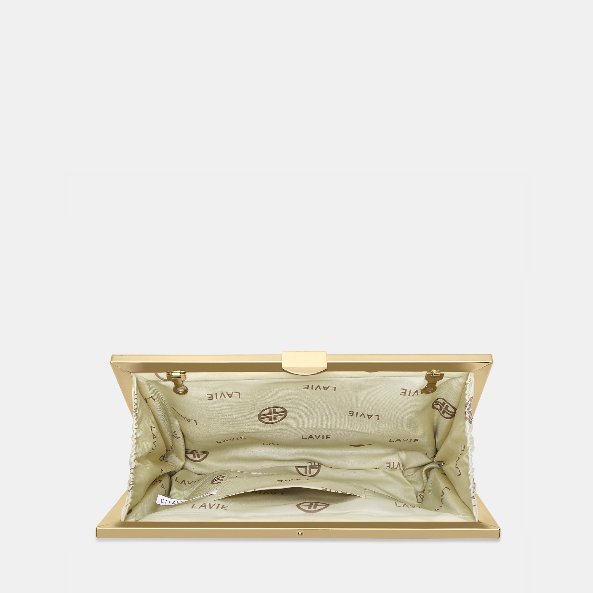 Lavie Luxe Pleatz framed Gold Medium Women's Clutch