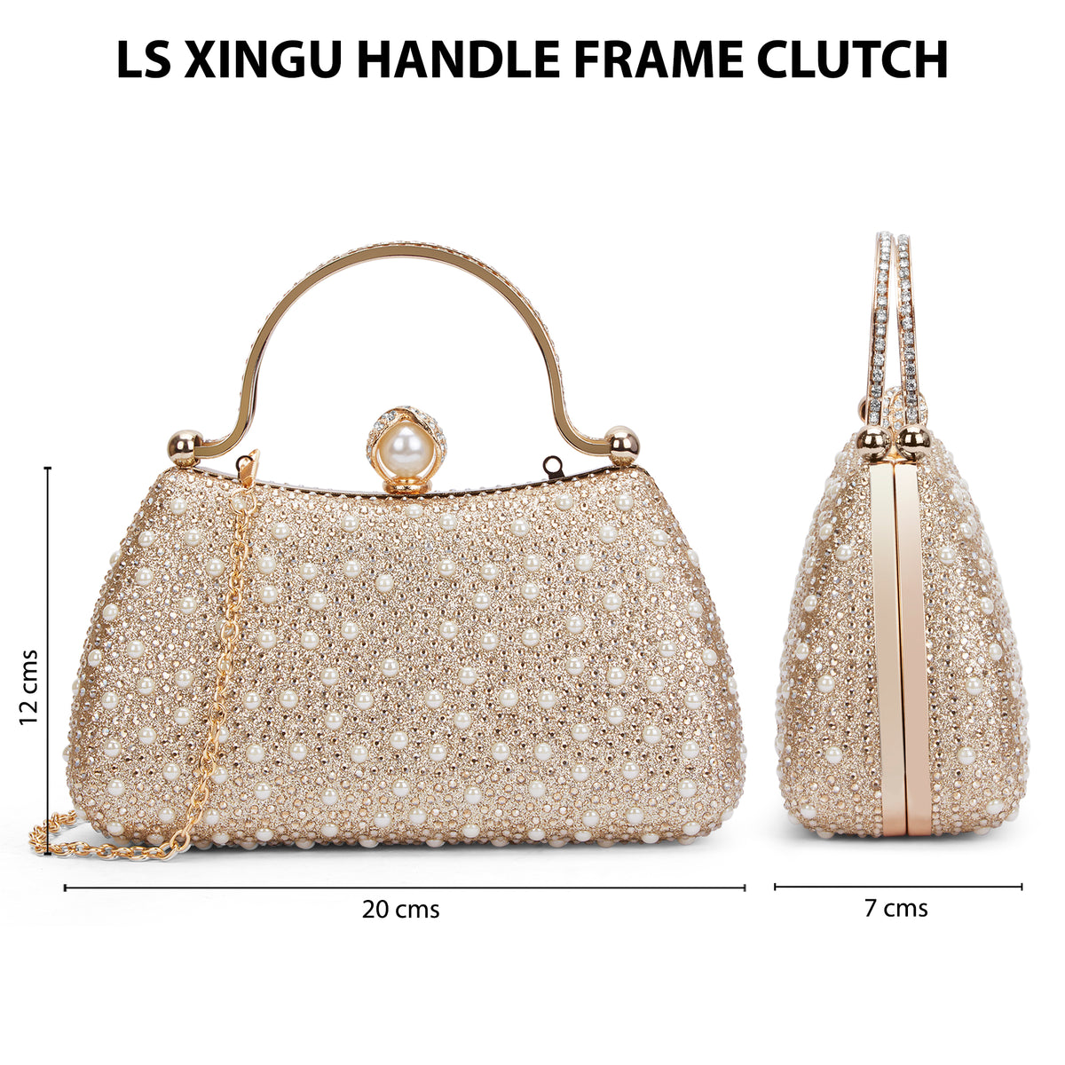 Xingu Handle Frame Clutch Gold
