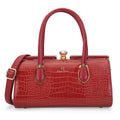 Dazzle Medium Frame Bag