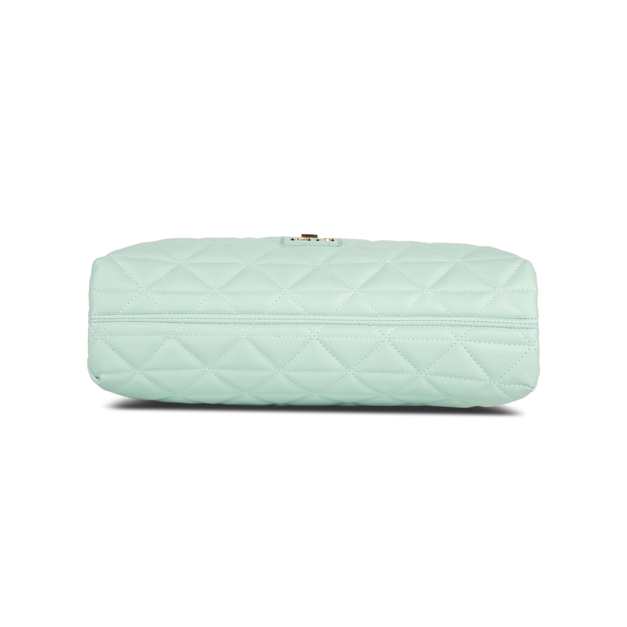 Lavie Luxe Mint Large Women's Eden Flap Satchel Bag